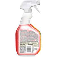 Disinfecting Bio Stain & Odour Remover, 946 ml, Trigger Bottle Trail Hammer and Bolt