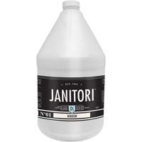 Janitori 01 Window Cleaner, 4 L, Jug Trail Hammer and Bolt