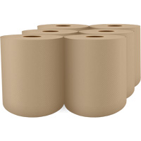 Pro Select&reg; High-Capacity Paper Towel, 1 Ply, Standard, 1000' L Trail Hammer and Bolt