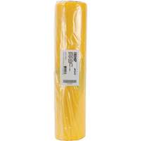Doublures pour d&eacute;chets dangereux, Amiante, 40" lo x 26" la, 3 mils Trail Hammer and Bolt
