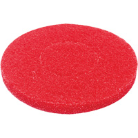 Floor Pad, Polish, Red Trail Hammer and Bolt