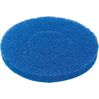 Floor Pad, Cleaning, Blue Trail Hammer and Bolt