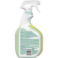 CloroxPro Clorox EcoClean Disinfecting Cleaner, 946 ml, Trigger Bottle Trail Hammer and Bolt