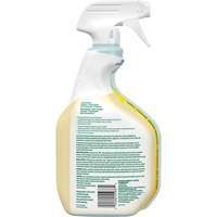 CloroxPro Clorox EcoClean All-Purpose Cleaner, 946 ml, Trigger Bottle Trail Hammer and Bolt