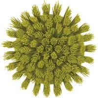 HyDrive Round Drill Brush, Extra Stiff Bristles, 3-1/10" Long, Yellow Trail Hammer and Bolt