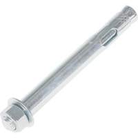 Boulon d'ancrage Trail Hammer and Bolt