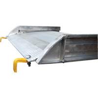 Aluminum Walk Ramp, 1000 lbs. Capacity, 38" W x 193-1/8" L Trail Hammer and Bolt