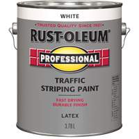 Peinture pour traçage de lignes de circulation, Blanc, 3,78 L, Cruche Trail Hammer and Bolt