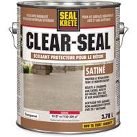 Produit d&eacute;tanch&eacute;it&eacute; protecteur Seal-Krete, 3,78 L, &agrave; l'ur&eacute;thane, Satin, Transparent Trail Hammer and Bolt