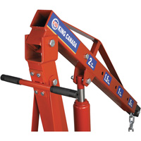 Grues d'atelier escamotables de 2 tonnes, Capacit&eacute; 4000 lb (2 tonnes) Trail Hammer and Bolt