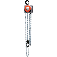 Hurricane 360° Chain Hoist, 10' Lift, 1000 lbs. (0.5 tons) Capacity, Steel Chain Trail Hammer and Bolt