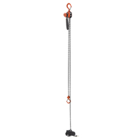 Mini palan &agrave; levier, Lev&eacute;e 15', Cabacit&eacute; 500 lb (0,25 tonne), Chaîne en Acier Trail Hammer and Bolt