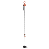 Mini palan &agrave; levier, Lev&eacute;e 15', Cabacit&eacute; 500 lb (0,25 tonne), Chaîne en Acier Trail Hammer and Bolt