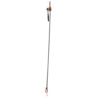Mini palan &agrave; levier, Lev&eacute;e 10', Cabacit&eacute; 1000 lb (0,5 tonne), Chaîne en Acier Trail Hammer and Bolt