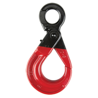 Crochet autoverrouillable Trail Hammer and Bolt
