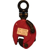 Lifting Clamps