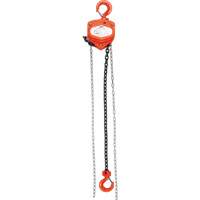 Chain Hoist, 10' Lift, 1000 lbs. (0.45 tons) Capacity, Alloy Steel Chain Trail Hammer and Bolt