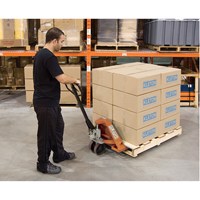 Transpalette manuel robuste, Acier, 48" lo x 27" la, Capacit&eacute; 5500 lb Trail Hammer and Bolt