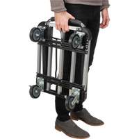 Chariots &agrave; plateforme pliants, Aluminium, 300 lb, 28" lo x 16" la, Hauteur 32" Trail Hammer and Bolt