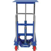 Lift Table, 30"L x 24"W, Steel, 2000 lbs. Capacity Trail Hammer and Bolt