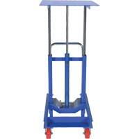 Lift Table, 30"L x 24"W, Steel, 2000 lbs. Capacity Trail Hammer and Bolt