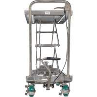 Manual Hydraulic Scissor Lift Table, 36-1/4" L x 19-3/8" W, Stainless Steel, 600 lbs. Capacity Trail Hammer and Bolt
