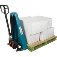 Manual Scissor Skid Lift, 45-1/4" L x 20-1/4" W, Steel, 3300 lbs. Capacity Trail Hammer and Bolt