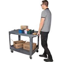 Chariot utilitaire pour l'entretien avec tablette plate, 2 tiers, 25-1/4" x 32-1/4" x 44", Capacit&eacute; 550 lb Trail Hammer and Bolt