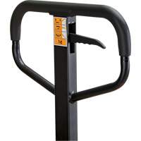 Transpalette manuel, Acier, 48" lo x 21" la, Capacit&eacute; 5500 lb Trail Hammer and Bolt