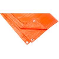 B&acirc;ches isol&eacute;es, Poly&eacute;thyl&egrave;ne, Orange, 20' x 12' x 8 mils Trail Hammer and Bolt