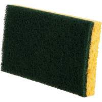 &eacute;ponges utilitaires, Cellulose, 6" la x 3-1/2" l Trail Hammer and Bolt