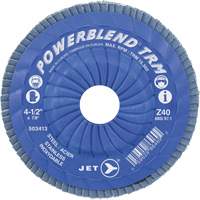 Flap Discs