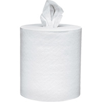Scott&reg; Essential Paper Towels, 2 Ply, Centre Pull, 625' L Trail Hammer and Bolt