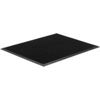 Gritstop Fingermat Matting, Rubber, Scraper Type, Textured Pattern, 2' x 2-2/3', Black Trail Hammer and Bolt