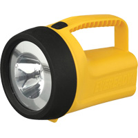 Lanterne flottante Readyflex de EverReady, DEL, 80 Lumens, Piles D Trail Hammer and Bolt