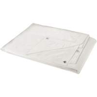 B&acirc;che, Robuste, Blanc, 30' x 20' x 6 mils Trail Hammer and Bolt