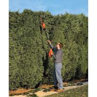 Ensemble de taille-haie sur perche sans fil Max* Trail Hammer and Bolt