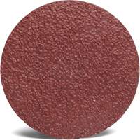 Disque abrasif Roloc 782C 3M, 2" dia., Grain 36+, C&eacute;ramique Trail Hammer and Bolt