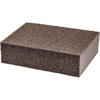 &eacute;ponge abrasive pour petite surface Trail Hammer and Bolt