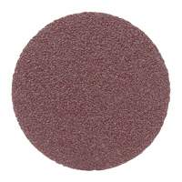 Disque en tissu PSA, 2" dia., Grain 80, Oxyde d'aluminium Trail Hammer and Bolt