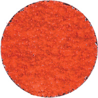 Blaze R980P Quick-Change Cloth Disc, 2" Dia., 36 Grit, Ceramic Alumina Trail Hammer and Bolt