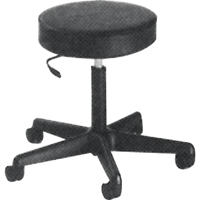 900 Series Task Stool, Mobile, Adjustable Height, 250 lbs. Capacity Trail Hammer and Bolt