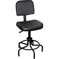 6000 Series Stool with Back, Stationary, Adjustable Height, 250 lbs. Capacity Trail Hammer and Bolt