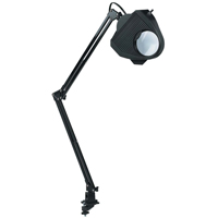Lampe de travail avec loupe, 60 W, Fluorescent/Incandescente/DEL, Pince, Col 40", Noir Trail Hammer and Bolt