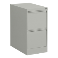 Classeur vertical, Acier, 2 tiroirs, 15-1/7" la x 25" p x 29" h, Gris Trail Hammer and Bolt