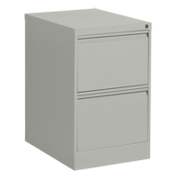 Classeur vertical, Acier, 2 tiroirs, 18-1/7" la x 25" p x 29" h, Gris Trail Hammer and Bolt