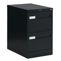 Vertical Filing Cabinet with Recessed Drawer Handles, 2 Drawers, 18.15" W x 26.56" D x 29" H, Black Trail Hammer and Bolt