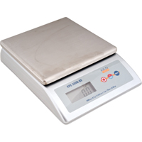Platform Scale, 2000 g Capacity Trail Hammer and Bolt
