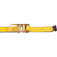 Tendeurs d'arrimage &agrave; cliquet, Crochet plat, 4" , 30' , Charge d'utilisation max. 5400 lb (2450 kg) Trail Hammer and Bolt