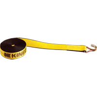 Tendeurs d'arrimage pour treuil, Crochet &agrave; fil m&eacute;tallique, 2" , 30' , Charge d'utilisation max. 1670 lb (751 kg) Trail Hammer and Bolt
